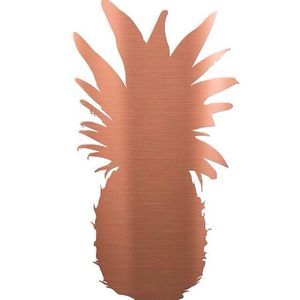 Meet your Posher, Ginger